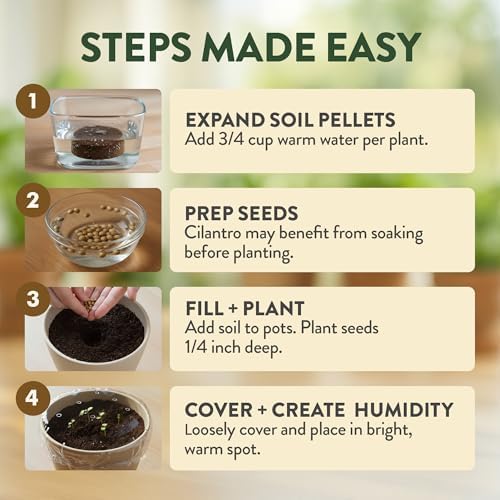 HOME GROWN 4 Herb Indoor Garden Kit, Christmas Gardening Gift for Adults - Image 4