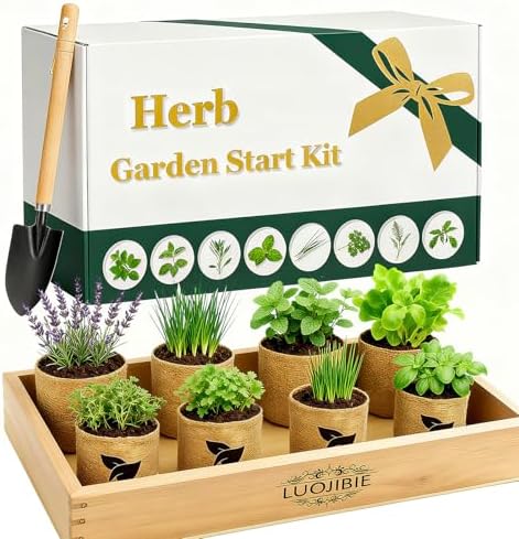 Indoor Herb Garden Start Kit - Unique Gifts for Women, Mothers Day Gifts, Easy House Plant- Birthday for Women,House Warming Gift New Home- Fresh Herb Garden DIY Crafts for Adults by LUOJIBIE