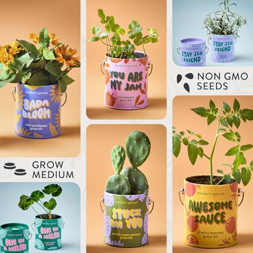 Modern Sprout Complimentary Color Grow Kits - Seed Starter Kit, Pack of 6 - Image 2
