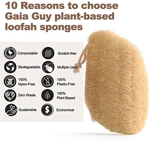 Natural Loofah Dish Sponge - 10 Pack (6 + 4 Bonus) - 100% Plant-Based, Plastic-Free Kitchen Scrubber Pads | Compostable & Zero Waste Alternative to Traditional Sponges - Image 5