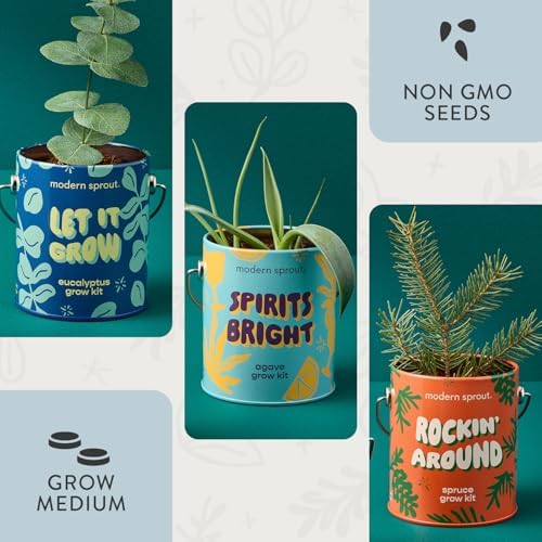 Modern Sprout Complimentary Color Grow Kits - Seed Starter Kit, Pack of 3 - Image 2
