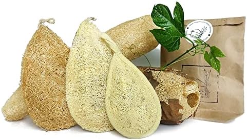 Natural Loofah Dish Sponge 10PCS Dishwashing Scouring Pad Kitchen - Image 5