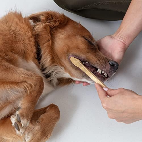 Dog and Cat Toothbrush - Two Sided Bamboo, Soft Bristles 4-Pack - Image 6