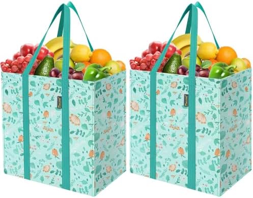 BALEINE 2 PK Grocery Bags Reusable Shopping Bags with Reinforced Bottom, Heavy Duty Foldable Tote Bags (Spring Stroll) by BALEINE