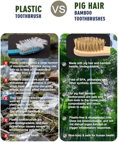 Boar Bristle Bamboo Toothbrush 10 Pack Compostable Plastic Free - Image 3