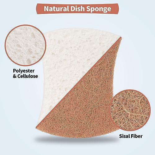 Natural Dish Sponge 12 Pack, Non-Scratch Scrub Kitchen Sponge, Eco Multipurpose, Odor-Less Dual-Sided for Dish Washing & Household Cleaning - Image 2