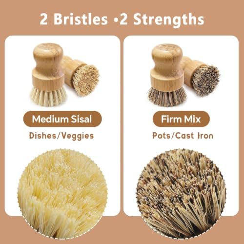 3 Pack Wooden Dish Brush Set - 2*Vegetable Brush & 1*Stainless Steel Stand - Image 6