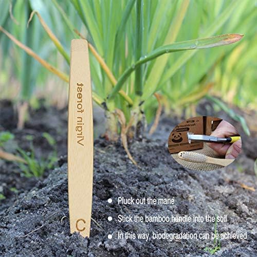 Virgin Forest Bamboo Toothbrushes 6pk, Charcoal Bristles BPA Free Eco - Image 6