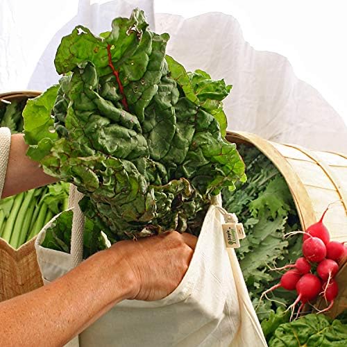 Simple Ecology Reusable Grocery Produce Shopping and Storage Bags, Organic Cotton Muslin, Set of 10 (2 ea. XL, L, M, S, XS) - Image 2