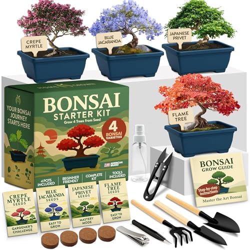 HOME GROWN 4 Bonsai Tree Starter Kit, Christmas Gardening Gift for Adults by HOMEGROWN