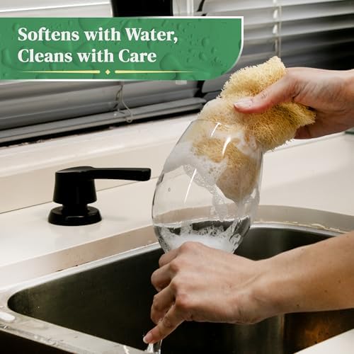Natural Loofah Kitchen Sponge - Natural Sponges for Dishes - Dish Sponge - Image 6