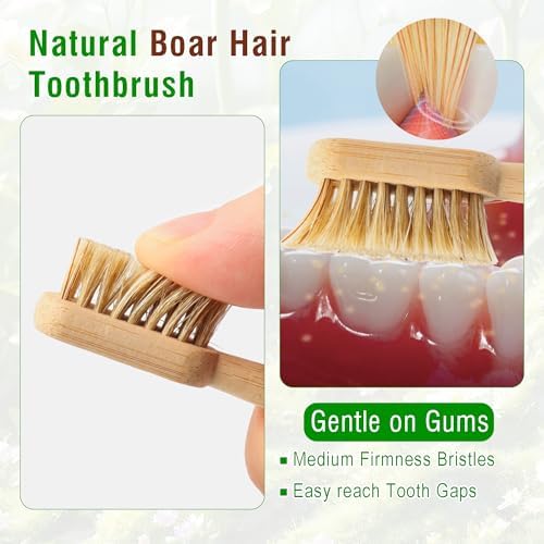 Boar Bristle Bamboo Toothbrushes Plastic Free 4 Pack - Image 2