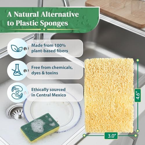 Natural Loofah Kitchen Sponge - Natural Sponges for Dishes - Dish Sponge - Image 2