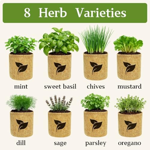 Indoor Herb Garden Start Kit - Unique Gifts for Women, Mothers Day Gifts, Easy House Plant- Birthday for Women,House Warming Gift New Home- Fresh Herb Garden DIY Crafts for Adults - Image 5