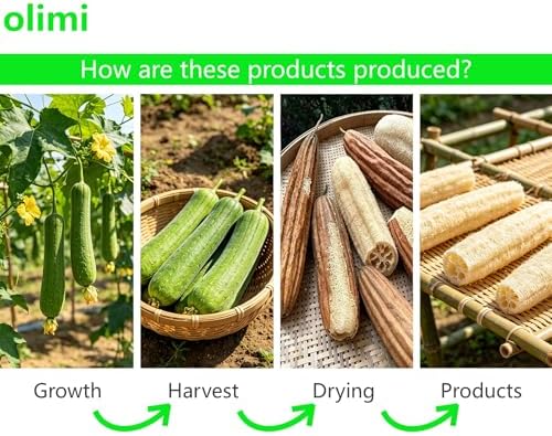 OLIMI Natural Luffa Scrubber for Dishes (4-Pack), 100% Loofah Sponge for Kitchen Cleaning, Non-Scratch Scrub Pads for Pots Pans Glass, 12cm/4.7 inch Each, Eco-Friendly Dishwashing Tools - Image 6