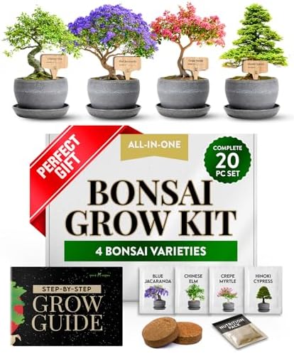 HOME GROWN Bonsai Tree Starter Kit, 4 Varieties, Indoor Gardening Gift Set by HOMEGROWN