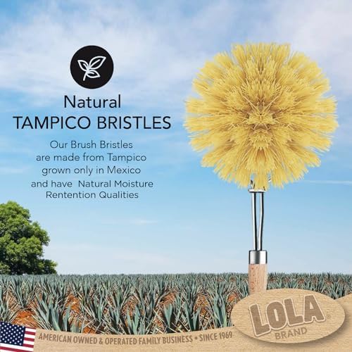 LOLA Dishwashing & Vegetable Brush The Original, 3" Head, Sustainable Wood Handle w/Tampico Fiber Bristles, Safe for Non-Stick Pans, Dishes, Cast Iron Skillet - Easy Head Only Replacement, 1 Pk - Image 4