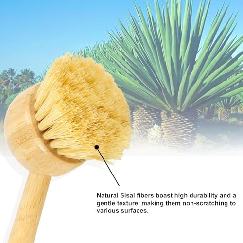 2 Pack Natural Kitchen Dish Brushes with Sisal & Palm Bristles, Long Bamboo Handle Scrubber for Dishes, Cast Iron Pans Pots and Vegetable Cleaning - Image 3