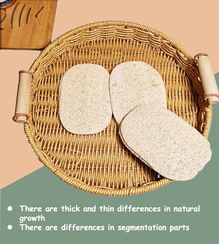 WOCATS 6 Pack Natural Loofah Sponges for Dishes & Bath - Biodegradable, Eco-Friendly Kitchen Scrubber & Body Exfoliator, Non-Scratch, Durable, Reusable - Image 6