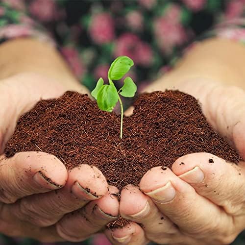 Home and Country Triple Washed Compressed Coco Coir Brick (40 LBS) - Coco Fiber is an Ideal Compost Starter for Your Home Garden. Coco Coir Bricks Provide Organic Alternative to Peat Moss for Plants. - Image 6