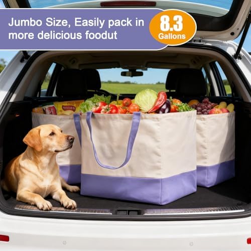 Reusable Grocery Bags Heavy Duty, 8.3 gal Foldable Large Canvas Tote Bag with Handles, Holds 60 lbs Canvas Shopping Bags, 3 Pack（Off White+Light purple） - Image 3