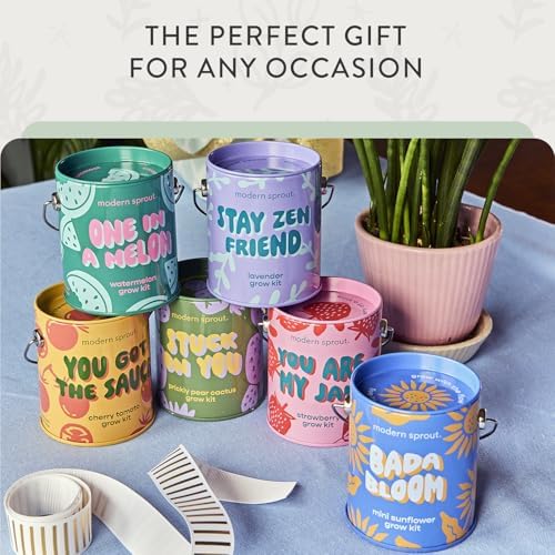 Modern Sprout Complimentary Color Grow Kits - Seed Starter Kit, Pack of 6 - Image 3