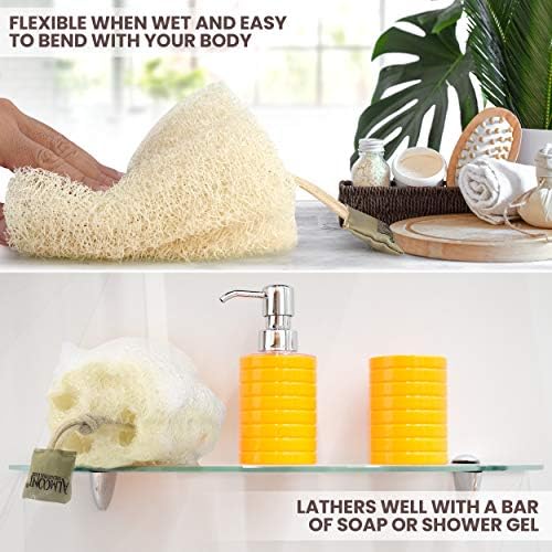 ALMOONI Natural Loofah Body Scrubber, Egyptian Loofah Sponge, 3 Count - Image 3