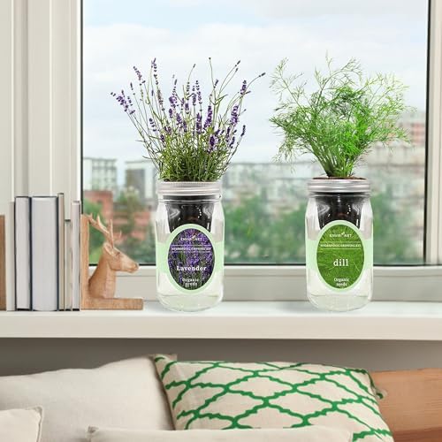 Lavender & Rosemary Mason Jar Herb Garden Kit, Aromatic Herb Duo, 2 Pack Indoor Hydroponic Growing Kit - Image 3