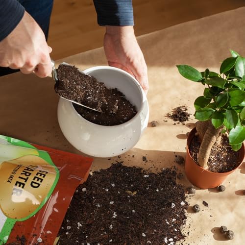 Doter Seed Starter Potting Soil Mix 4qt, Seed Starting Mix for Germination and Growth, Loamy Compost Well-Drainaged Soil Fit for Vegetable, Flower, houseplant - Image 3