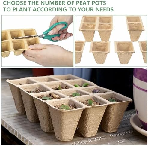 360 Cells Seed Starter Tray, 30 Pack Plant Starter Kit - Image 4