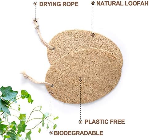 Natural Loofah Dish Sponge - 10 Pack (6 + 4 Bonus) - 100% Plant-Based, Plastic-Free Kitchen Scrubber Pads | Compostable & Zero Waste Alternative to Traditional Sponges - Image 2