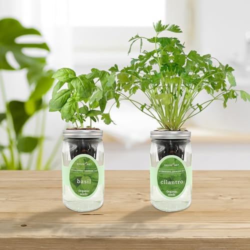 2-Pack Hydroponic Mason Jar Herb Garden Kit, Indoor Herb Garden Self-Watering Starter Kit (Basil,Cilantro) - Image 5