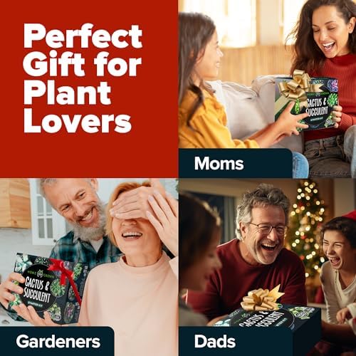 HOME GROWN Succulent & Cactus Seed Starter Kit, DIY Gardening Gift - Image 4