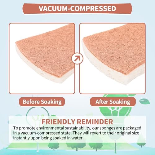Natural Dish Sponge 24 Pack, Non-Scratch Scrub Sponge, Eco Multipurpose Kitchen Sisal Fiber Cellulose Sponge, Odor-Less Dual-Sided for Dish Washing & Household Cleaning - Image 3