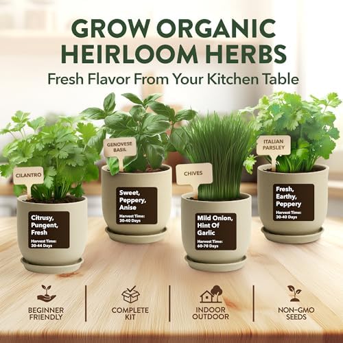 HOME GROWN 4 Herb Indoor Garden Kit, Christmas Gardening Gift for Adults - Image 3