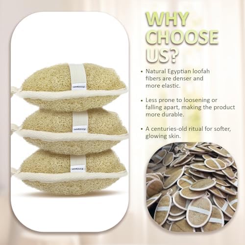 Premium Egyptian Natural Loofah Sponge 100% Plant-Based Exfoliating Body Scrubber Dye-Free Biodegradable Shower Pouf Deep Cleansing for Body Back and Face, Women & Men (3 Pack) - Image 3