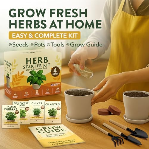HOME GROWN 4 Herb Indoor Garden Kit, Christmas Gardening Gift for Adults - Image 5