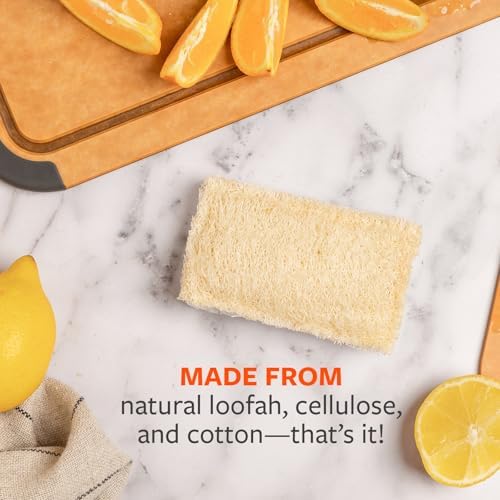 Full Circle 100% Plant-Based Loofah Sponges, Natural Sponge, Pack of 2 - Image 4