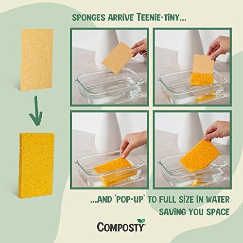 Pop-Up Compostable Sponges 12-Pack – Eco-Friendly Biodegradable Cellulose Kitchen Sponges (Plastic-Free, Non-Scratch, Compressed & Expanding) for Dishes, Kitchen & Bathroom by Award Winning Composty - Image 2