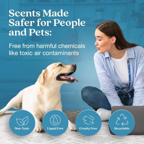 Enviroscent Scent Stix™ Starter Kit with Mango Wood Stand & Refill (1 Pack) - Image 2