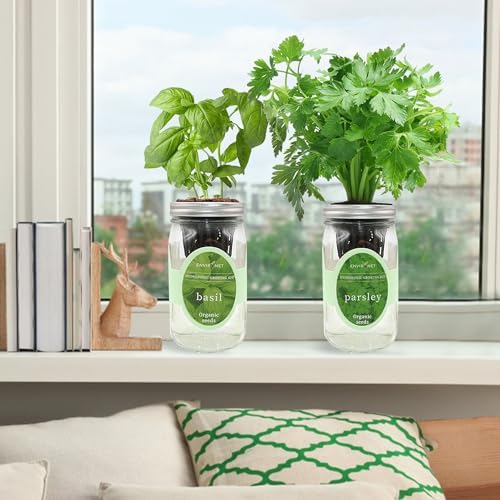 2-Pack Hydroponic Mason Jar Herb Garden Kit, Indoor Herb Garden Self-Watering Starter Kit (Basil, Parsley) - Image 3