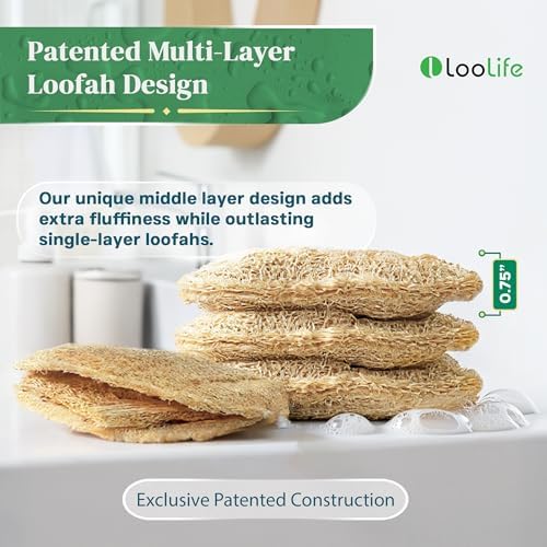 Natural Loofah Kitchen Sponge - Natural Sponges for Dishes - Dish Sponge - Image 3