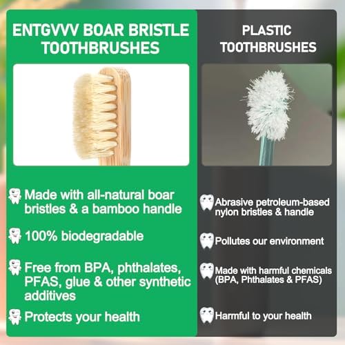 Boar Bristle Toothbrush, Plastic Free Natural Bamboo Toothbrushes - Image 6