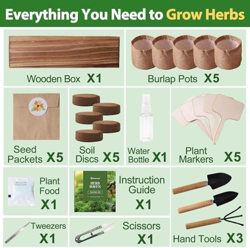 5 Herb Garden Planter Indoor with Wooden Box, Home Kitchen Seed Starter Kit Including Dill, Cilantro, Oregano, Sage, Chives, Birthday, Mothers Day, House Warming, Gardening Gifts for Women, Mom - Image 5