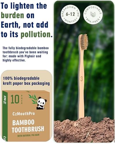 Boar Bristle Bamboo Toothbrush 10 Pack Compostable Plastic Free - Image 4
