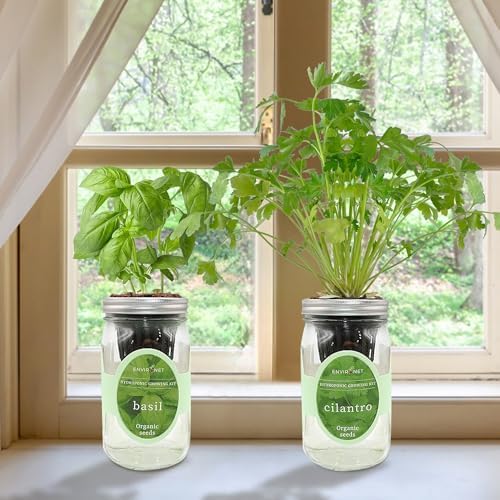 2-Pack Hydroponic Mason Jar Herb Garden Kit, Indoor Herb Garden Self-Watering Starter Kit (Basil,Cilantro) - Image 6