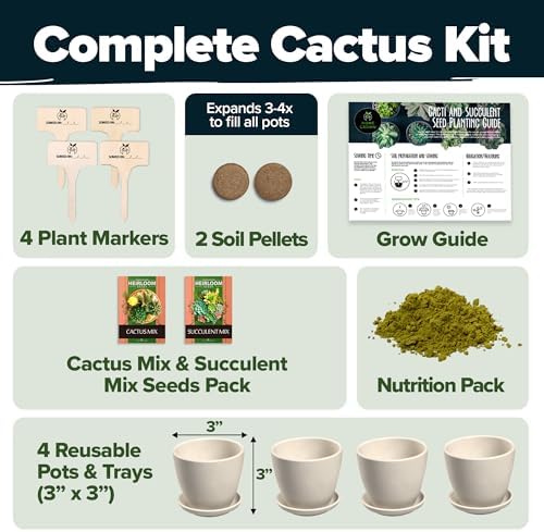 HOME GROWN Succulent & Cactus Seed Starter Kit, DIY Gardening Gift - Image 2