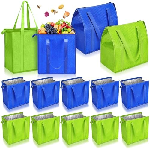 10 Pack 10 Pack Large Insulated Grocery Bag Zippered, Green, Blue by Locmeo
