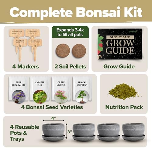 HOME GROWN Bonsai Tree Starter Kit, 4 Varieties, Indoor Gardening Gift Set - Image 2