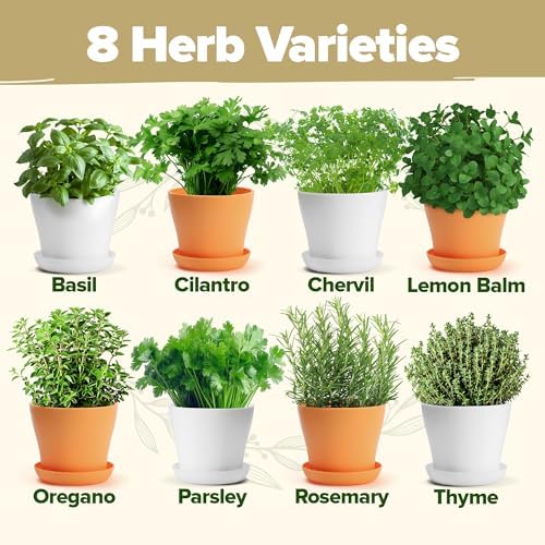 HOME GROWN 8 Herb Garden Kit, Indoor Growing Kit, Gardening Gifts for Women - Image 3